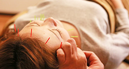 肌再生特化コース