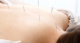 鍼灸・マッサージ